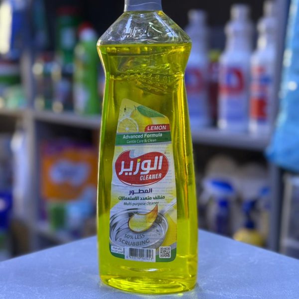 زاهي الوزير