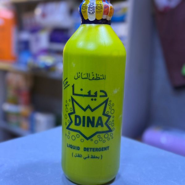 زاهي دينا